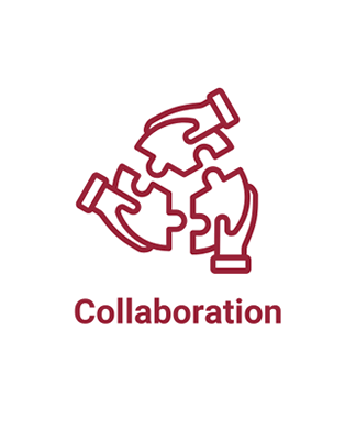 Collaboration